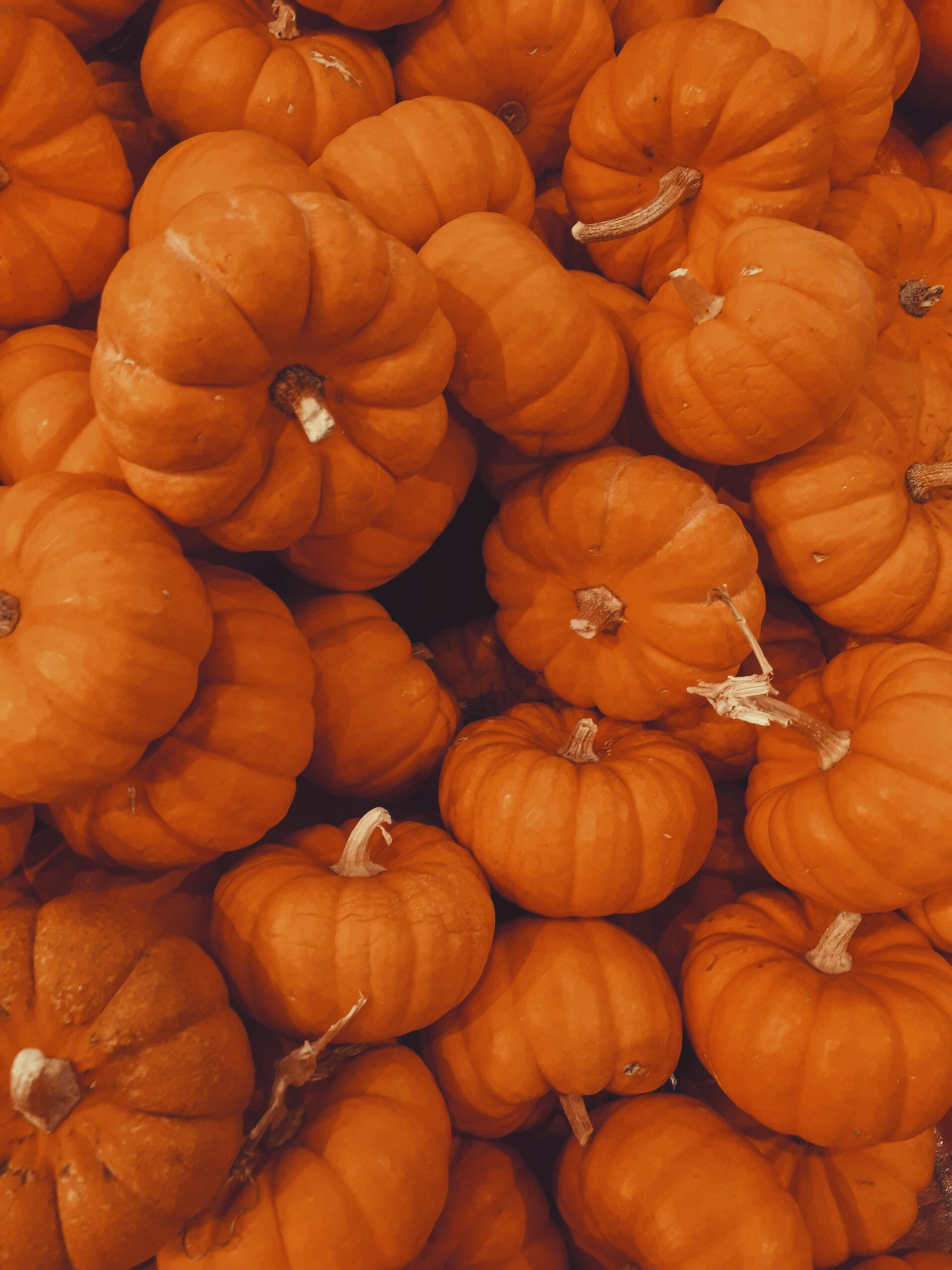 a pile of orange pumpkins sitting next to each other